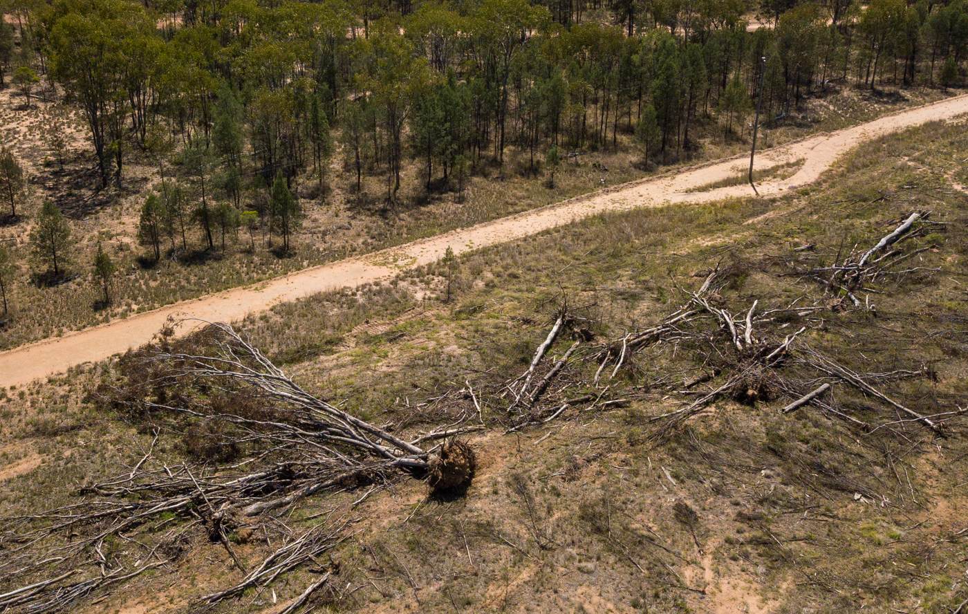 Deforestation in Queensland